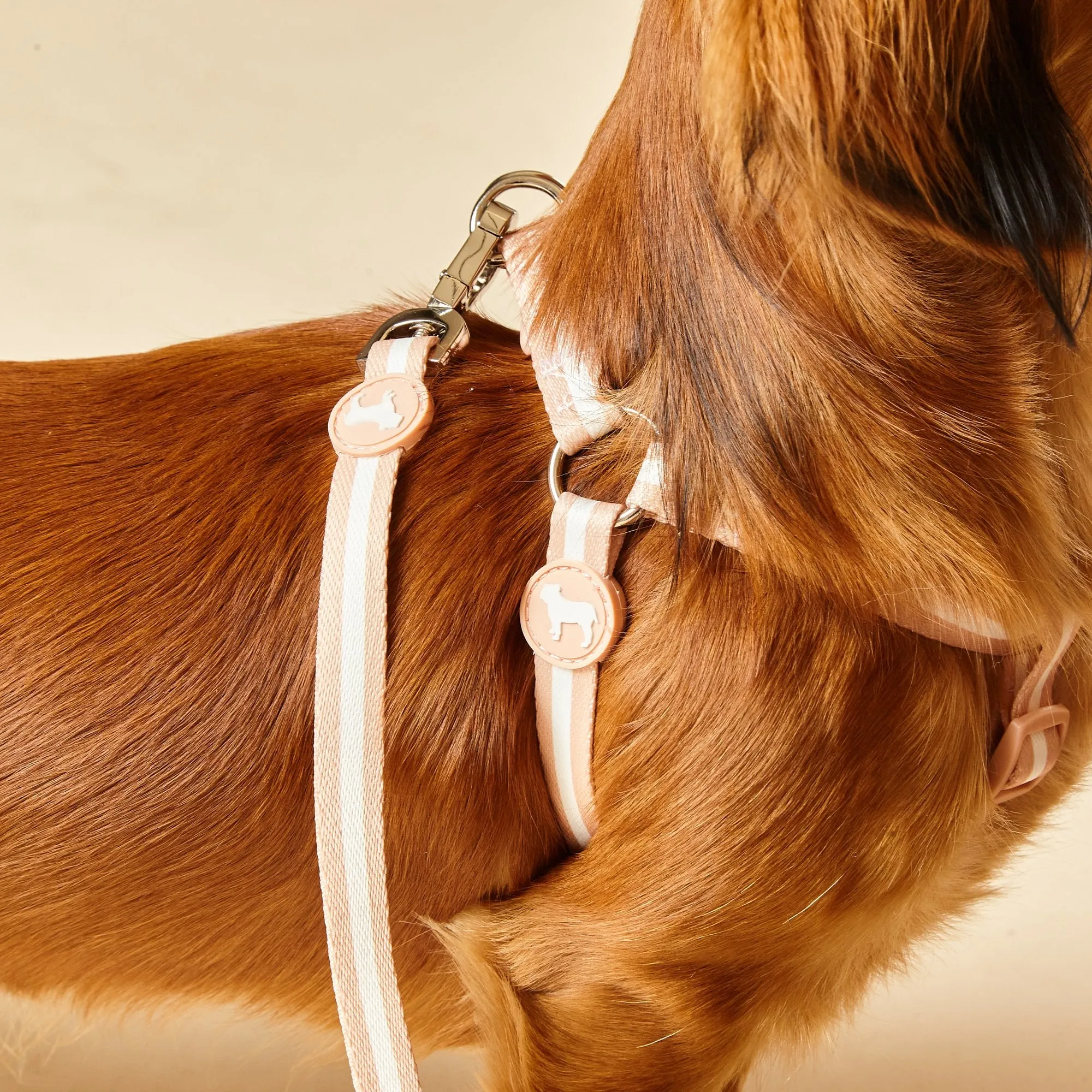 Champagne Stripe Fabric Dog Harness