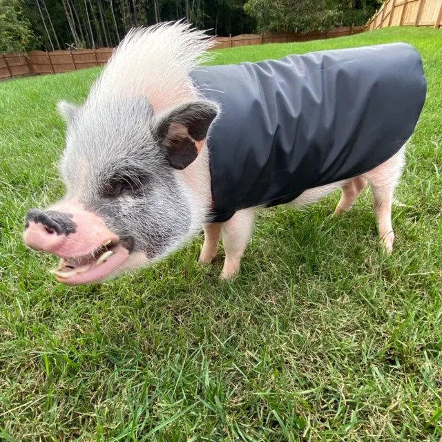 Fleece Lined Rain Jacket, Water Resistant Sweater Coat