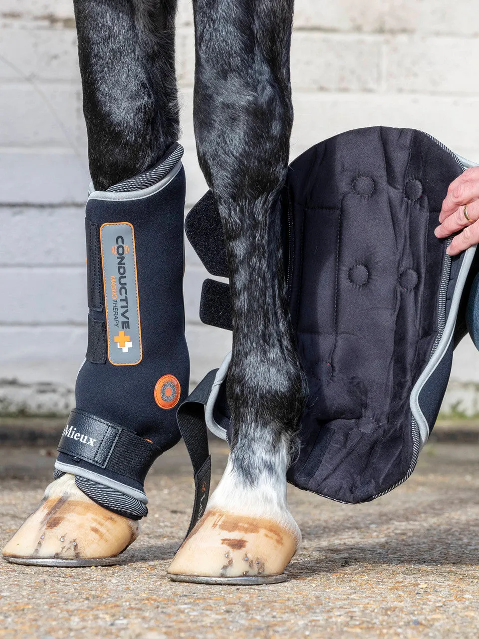 LeMieux Conductive Magno Boots