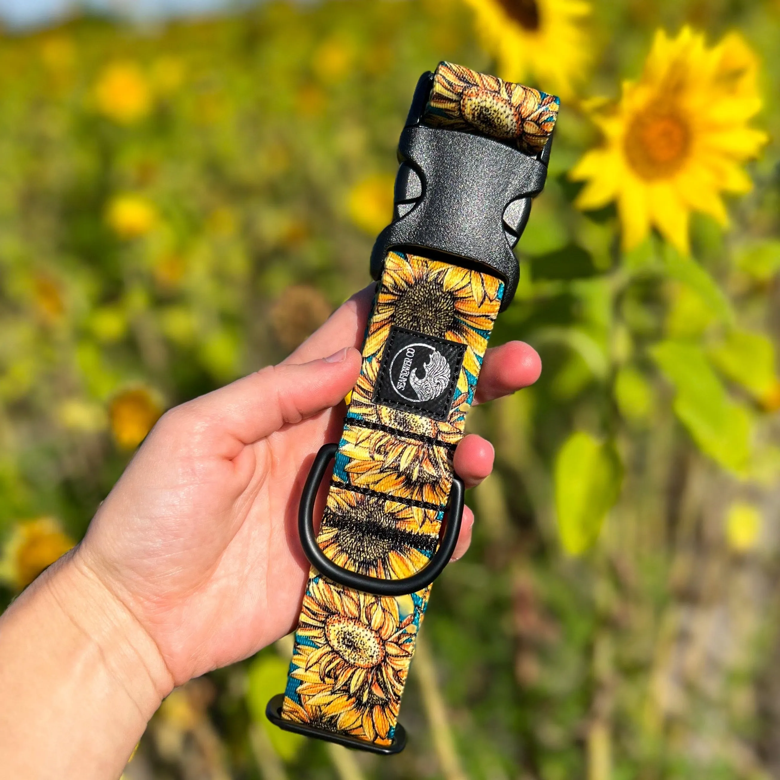 The Sunflower