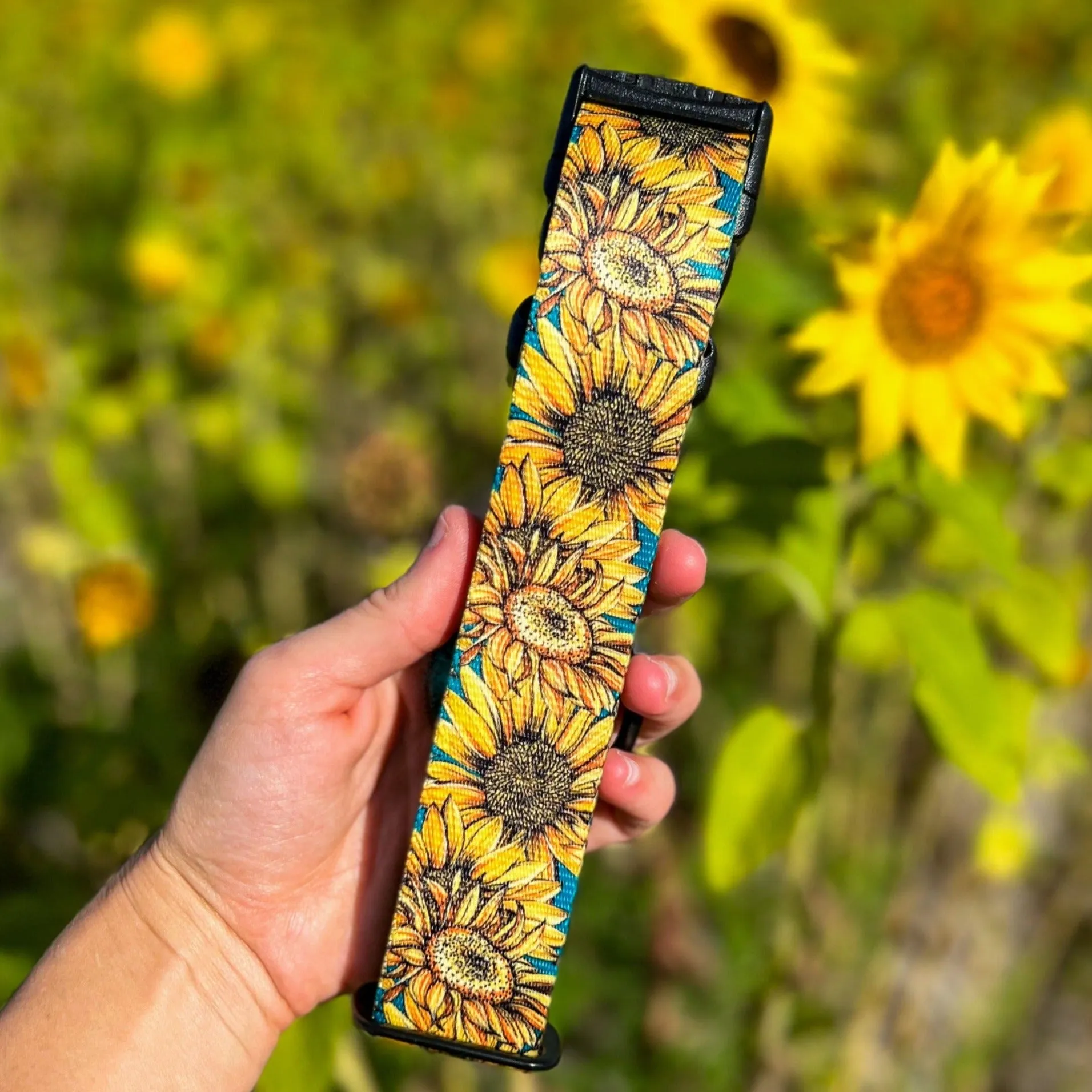 The Sunflower
