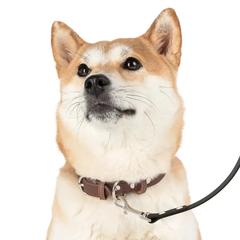 Turn Heads with Feathers Print Dog Leash